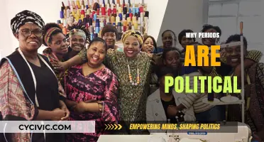 Periods, Power, and Politics: The Intersection of Menstruation and Social Justice