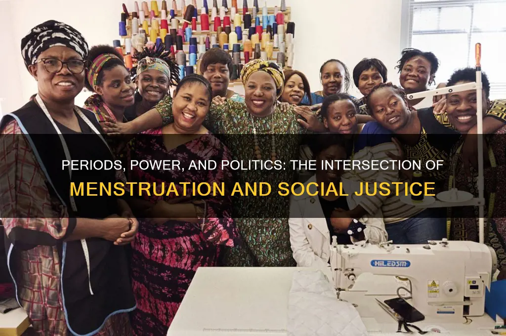 why periods are political