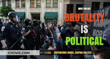 Police Brutality: A Political Crisis of Power and Accountability