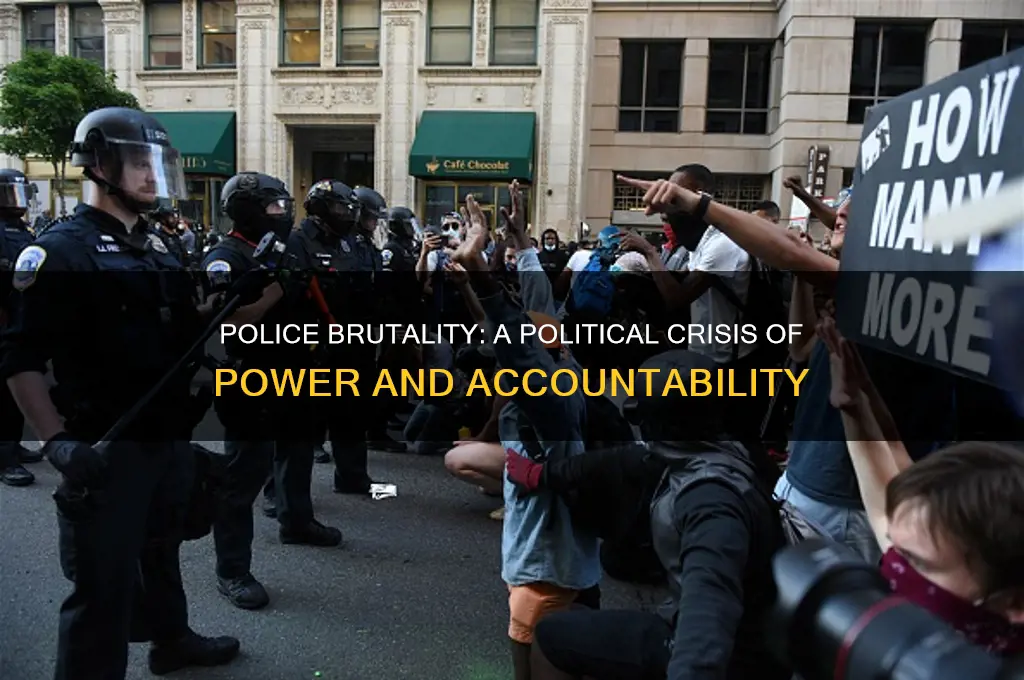 why police brutality is political