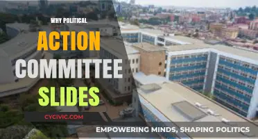 Why Political Action Committees Often Fail to Deliver on Promises