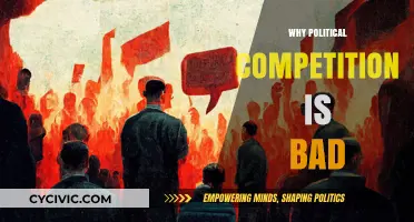 The Dark Side of Democracy: How Political Competition Harms Society