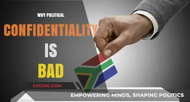 The Dark Side of Political Confidentiality: Undermining Democracy and Transparency