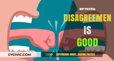 Healthy Political Disagreement: Why Diverse Views Strengthen Democracy and Progress