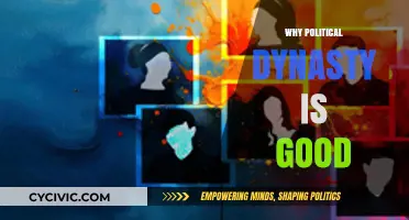 Political Dynasties: Strengthening Governance Through Legacy and Experience