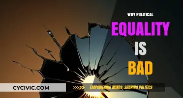 The Dark Side of Political Equality: Unintended Consequences Explored