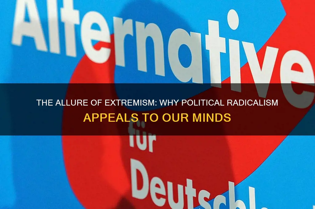 why political extremism feels good