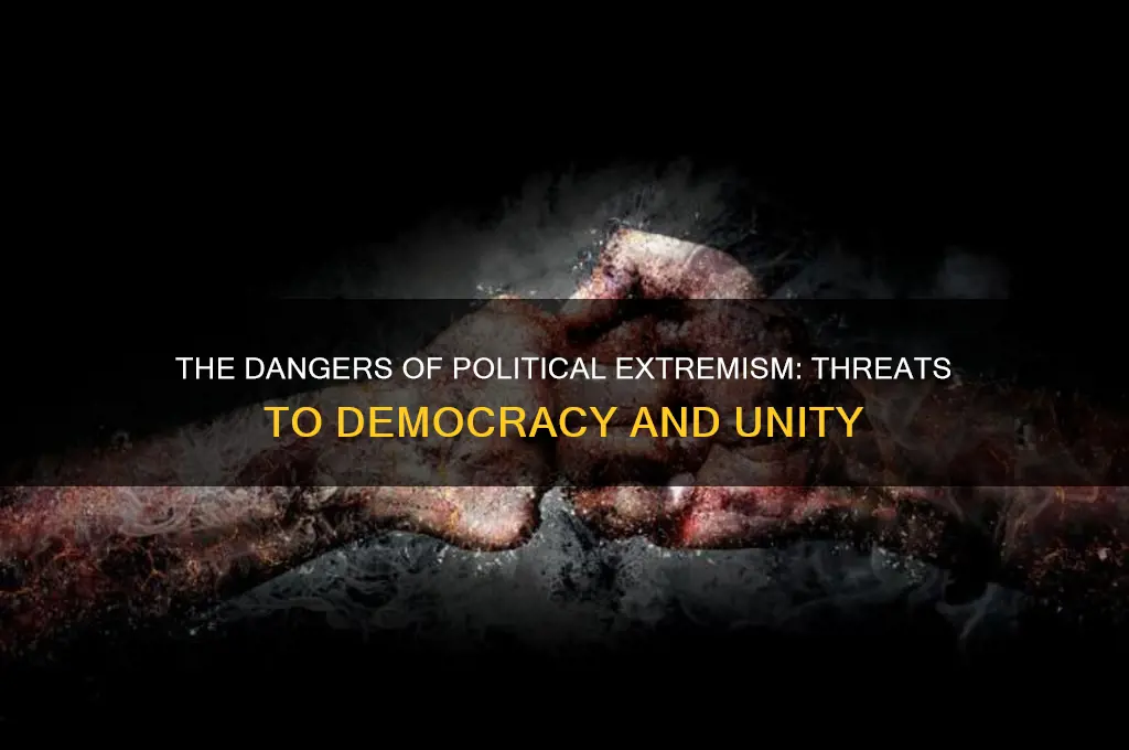 why political extremism is bad