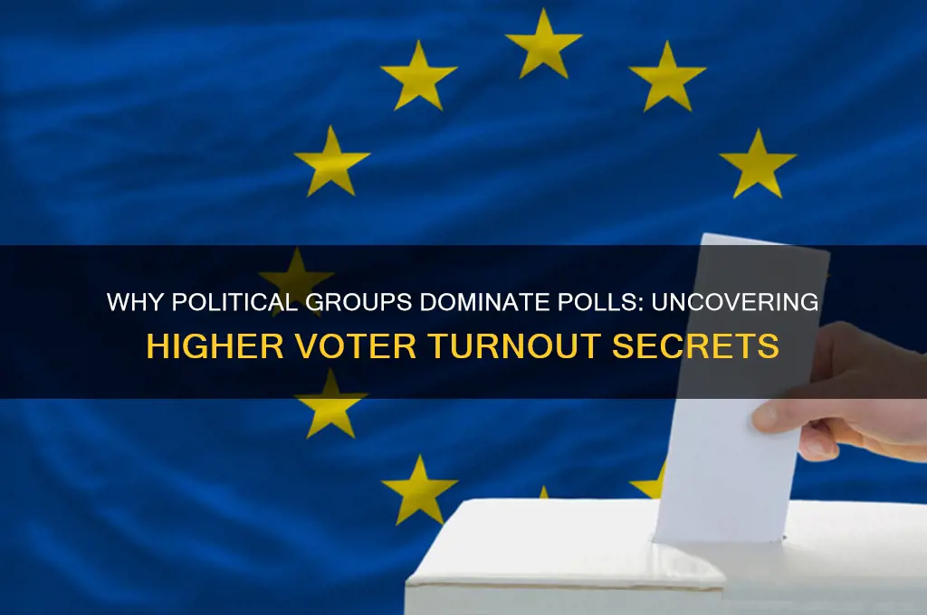 why political groups vote more