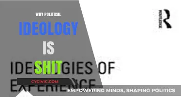 Why Political Ideologies Fail Us: A Critical Perspective