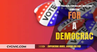 Why Political Parties Are Essential for Democratic Governance and Stability