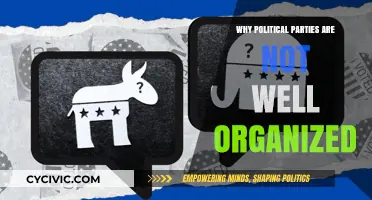 Disarray in Democracy: Why Political Parties Lack Organizational Structure