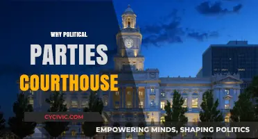 Why Political Parties Turn to Courthouses for Power and Influence