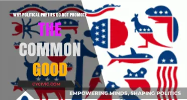 Political Parties: Prioritizing Power Over the Common Good?