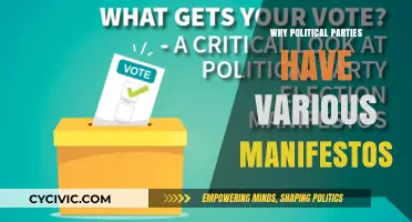 Why Political Parties Craft Diverse Manifestos: Unveiling Ideologies and Strategies