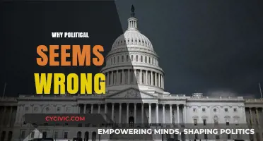 Why Political Systems Often Feel Broken: Unraveling the Dysfunction