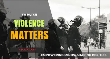Understanding Political Violence: Causes, Consequences, and Global Impact