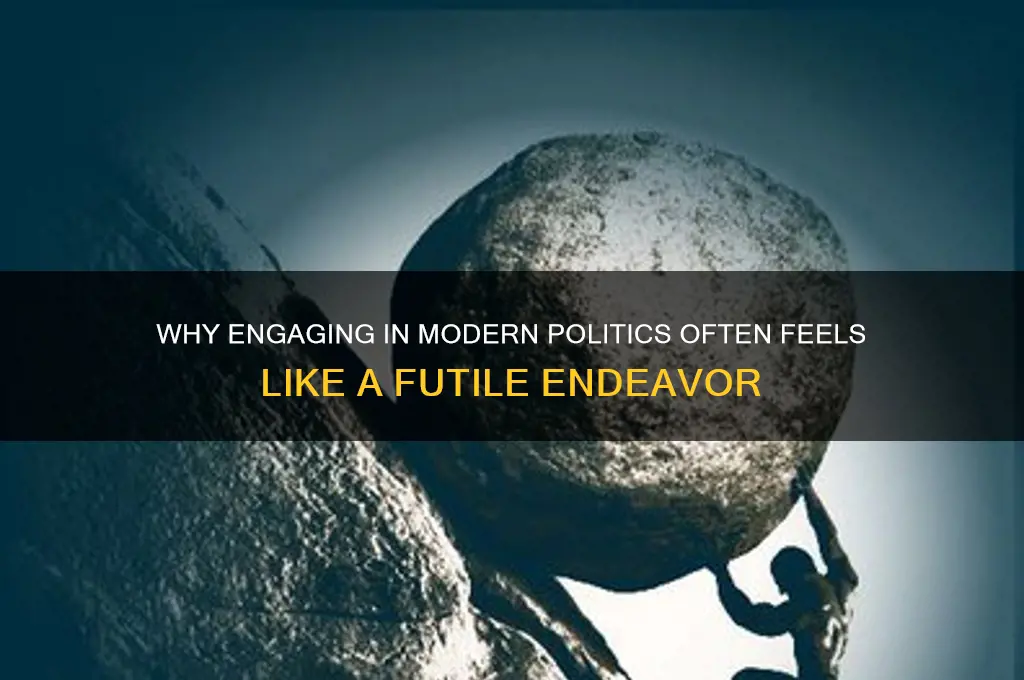 why politics are pointless