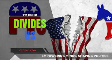 Polarized Perspectives: How Politics Creates Deep Divides in Society