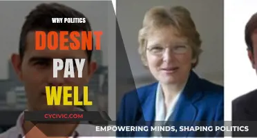The Surprising Truth: Why Politics Often Fails to Pay Well
