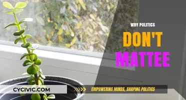 Beyond the Noise: Why Politics Don't Matter in Personal Growth