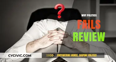 Why Politics Fails: A Critical Review of Systemic Failures