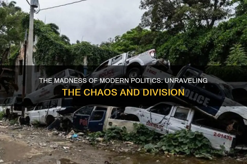 why politics has gone insane