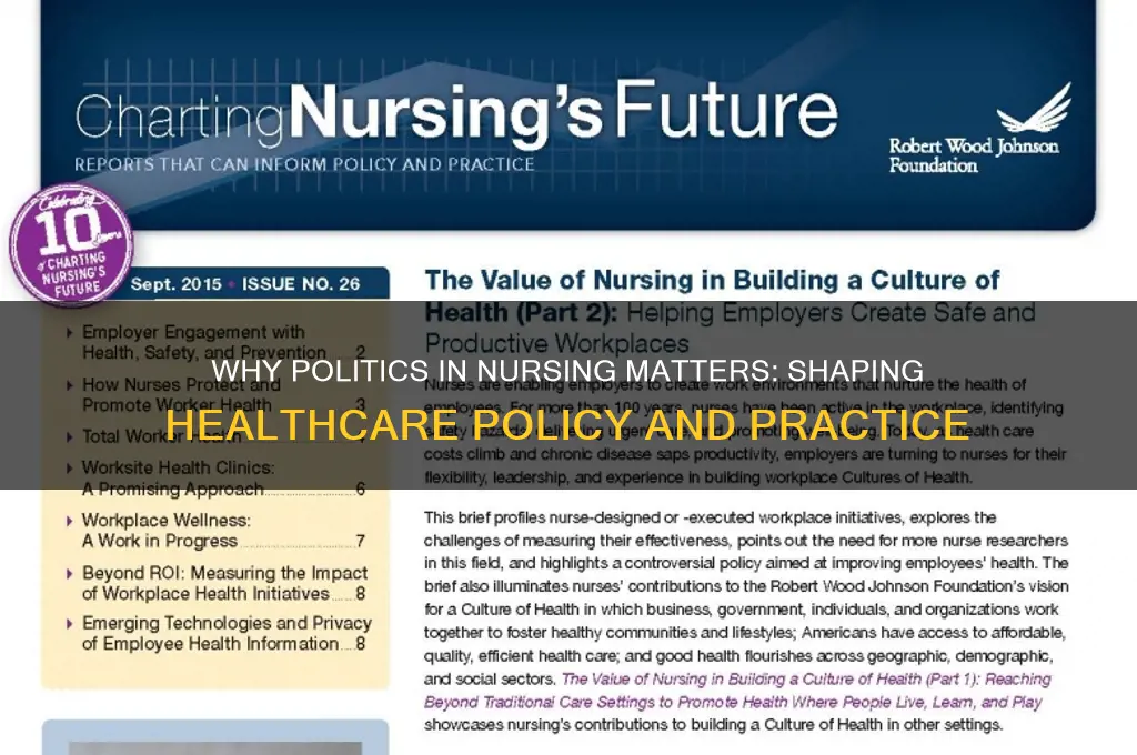 why politics in nursing matters