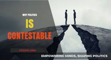 Why Politics Divides Us: Exploring the Contestable Nature of Power