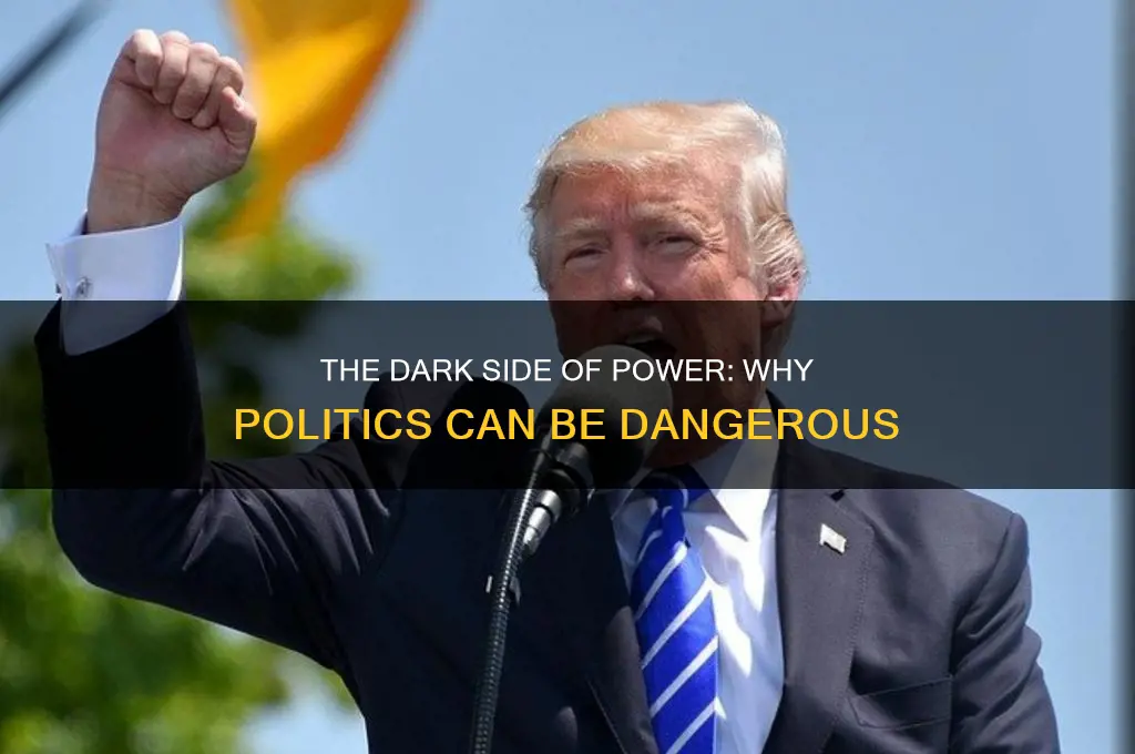 why politics is dangerous