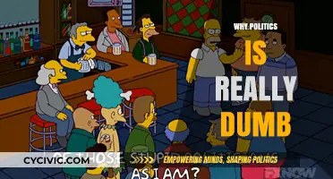 Why Politics Often Feels Dumb: A Blunt Reality Check