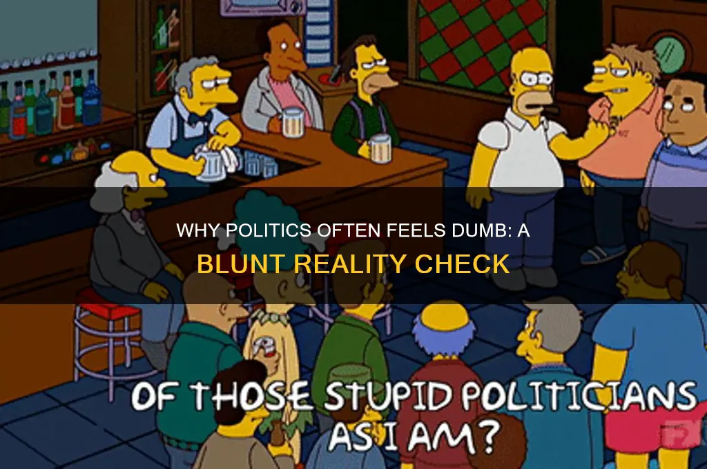 why politics is really dumb