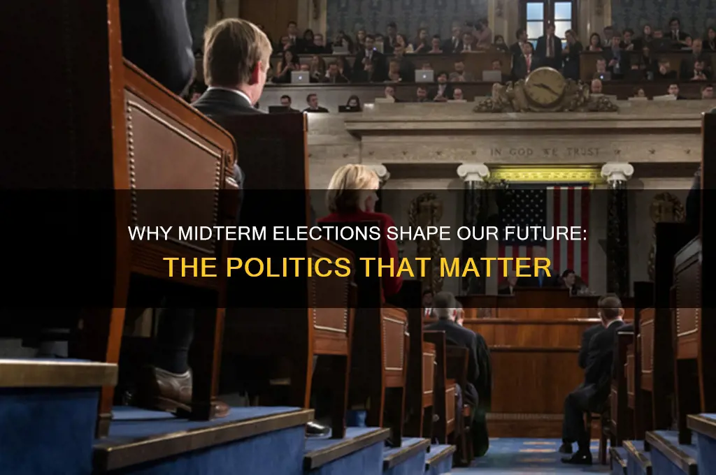 why politics matter midterm