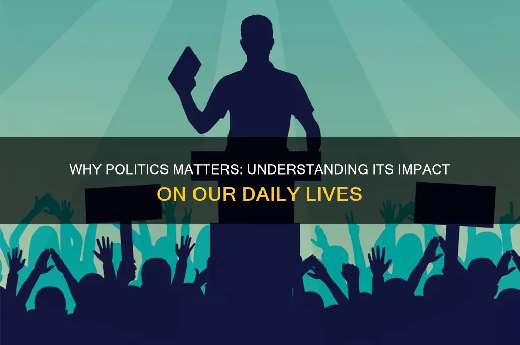 why politics matters 2nd