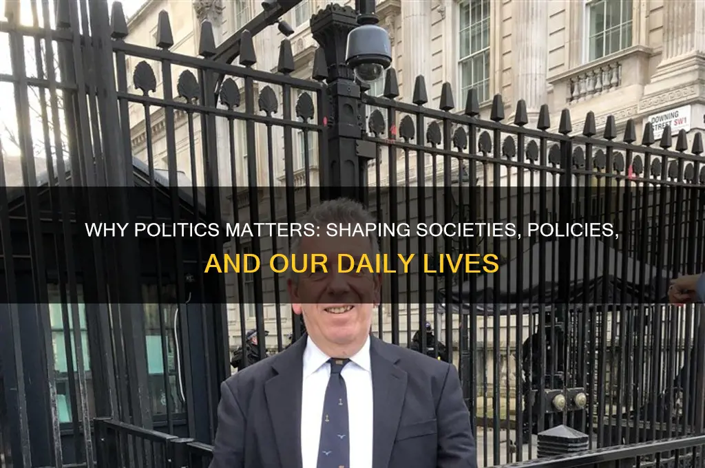 why politics matters article