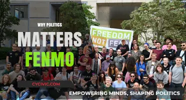Why Politics Matters: Fenmo's Role in Shaping Society and Democracy