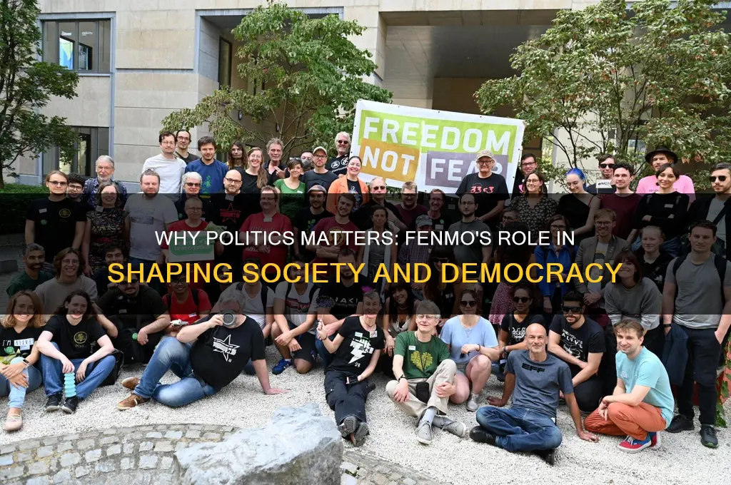 why politics matters fenmo