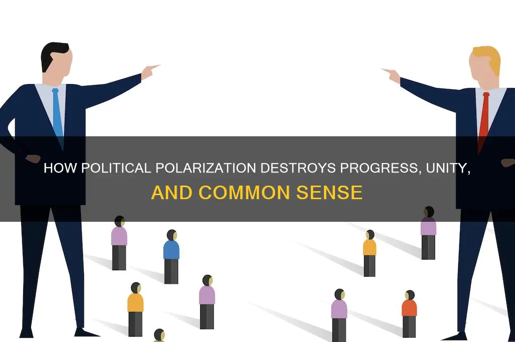 why politics ruins everything