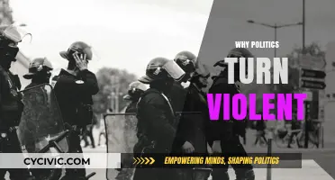 Why Politics Turn Violent: Unraveling the Roots of Political Aggression