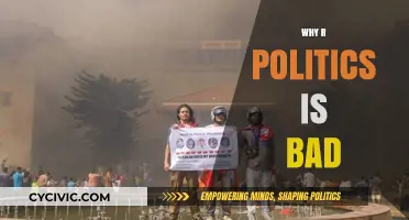 Why Modern Politics Fails Us: A Critical Analysis of Dysfunction