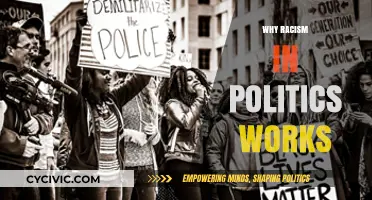 Racism in Politics: How Prejudice Fuels Power and Division