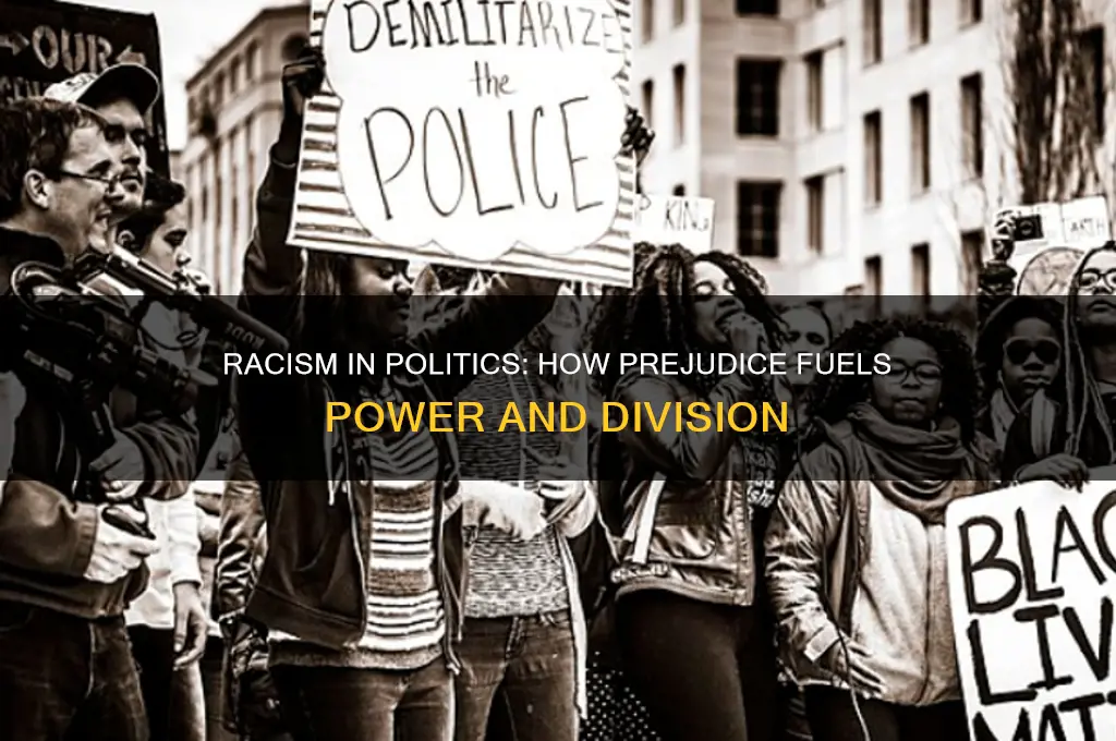 why racism in politics works