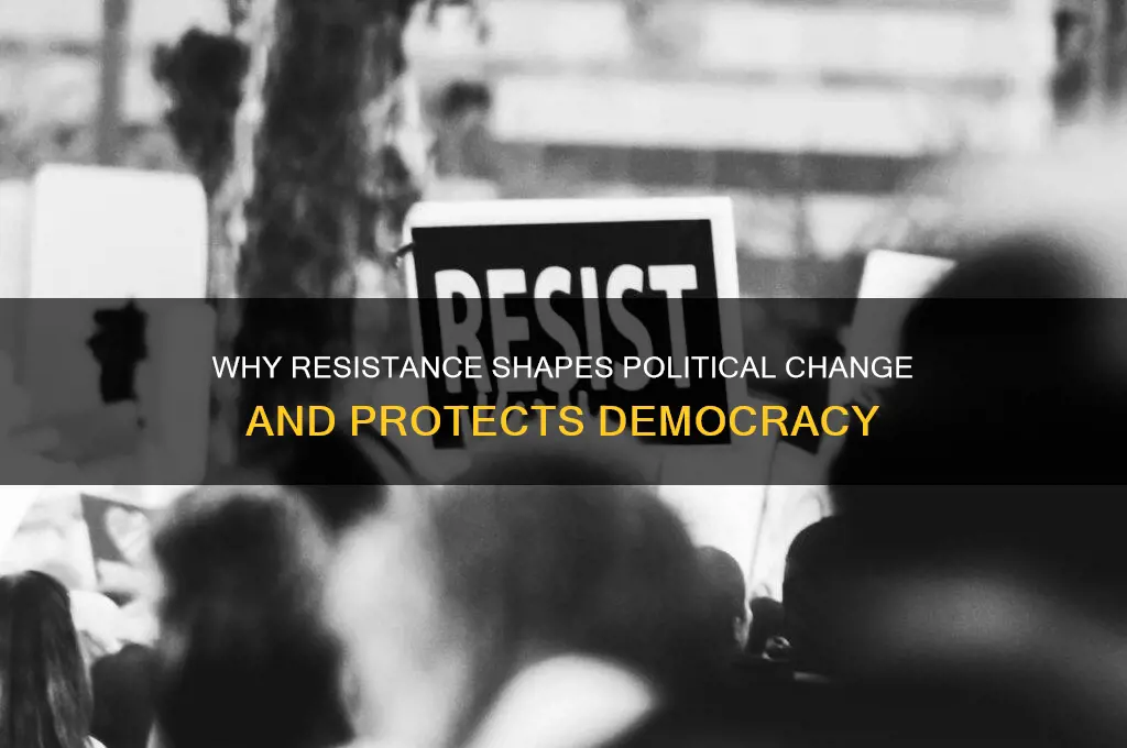 why resitance is imoprtant politics