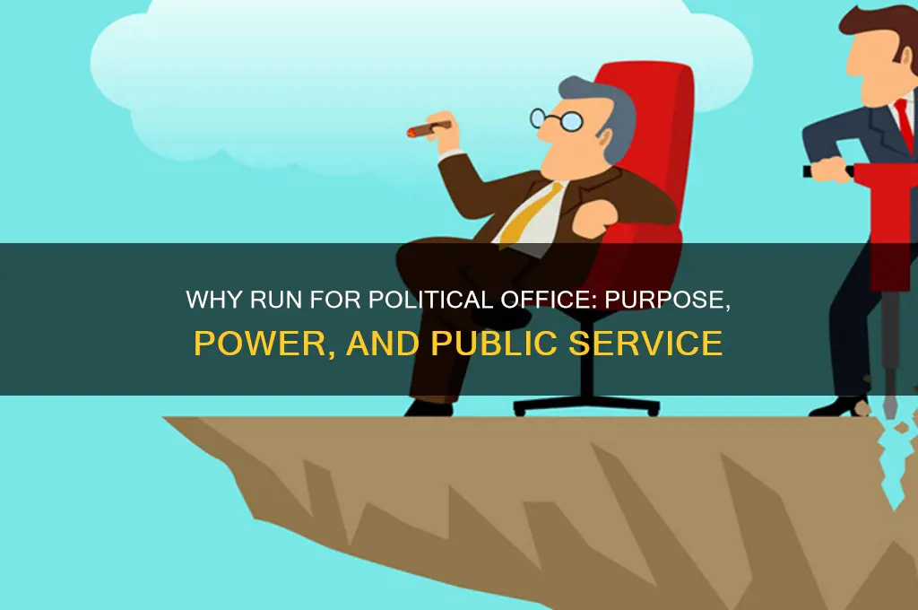 why run for political office