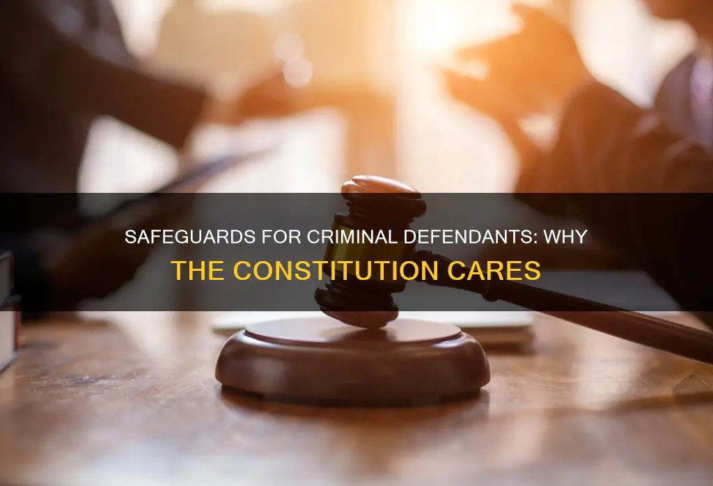 why safeguards for criminal defendants in the constitution were concerned