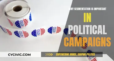 Political Campaign Segmentation: Targeting Voters, Winning Elections