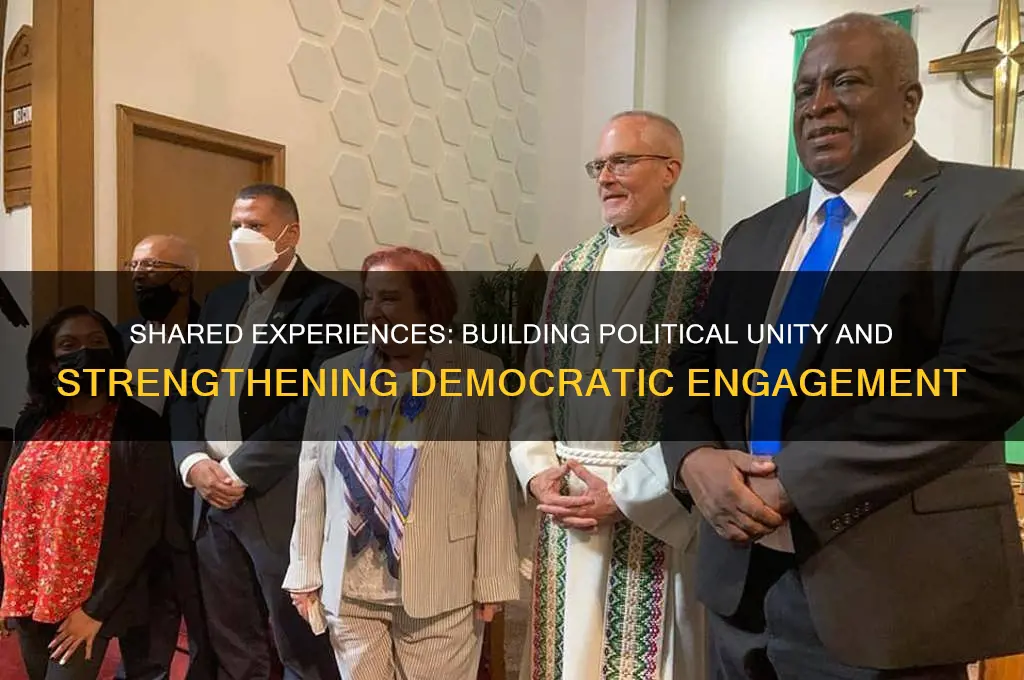 why shared experience in politics