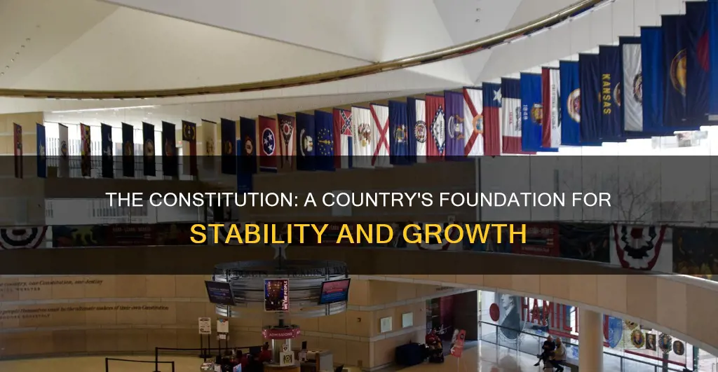 why should a country have a constitution discuss