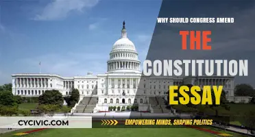 Amending the Constitution: Congress' Duty