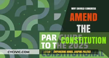 Amending the Constitution: Why Congress Should Act Now